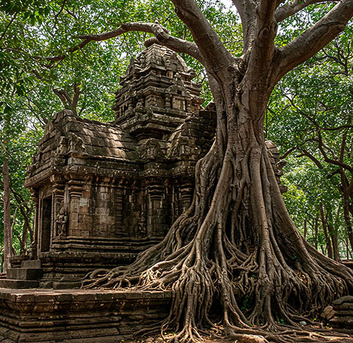 Cambodia